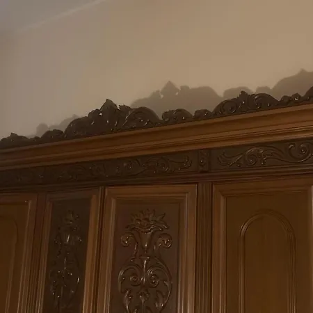 Apartment Modern Bo *